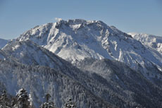 �Ċx�Ə�Ɗx(�E)