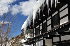 �Qm�ȏ�̑���