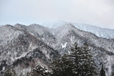 ��������o�X���蔖��̎R�X