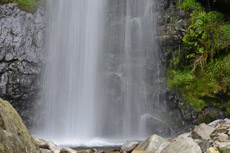 �E���͖��R���̂悤��