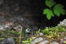 �a���C�ۂ��^��ł���