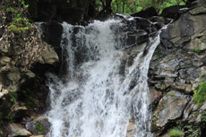 �����x��