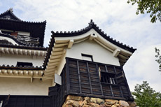 �{���̕��i