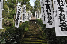 ��ԁ@���{��