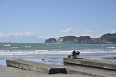 �ޖ؍��C��