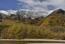 �Z�S�R���ȁH