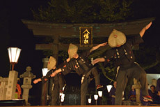 ���V���̊F����