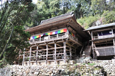 ��1�� ������