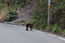 �쐶�̉��@���Z�s�x�O