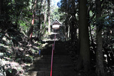 �O�����@�ω�����