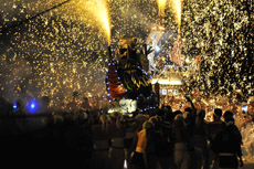 �_�`�̉ԉ΂����グ��