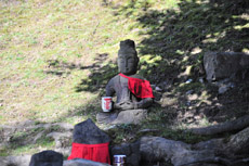 �t�z�@������