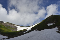 �c�������