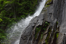 ��q��̂��Ԃ�