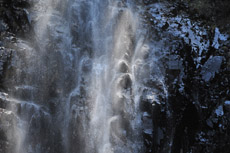 �j��@��������