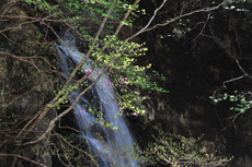 �����k�J�@�a����