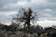 ���Á@�������`