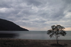 �}�L�m�@�d�v�����I�i��