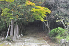 1300�i�ƌ�����Βi