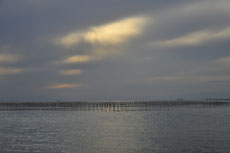 ��쒬�C�݂ɂ�