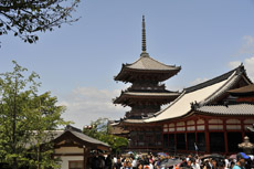 �������@�܎D��������