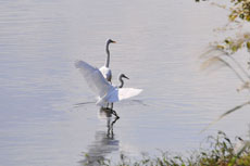 �q������