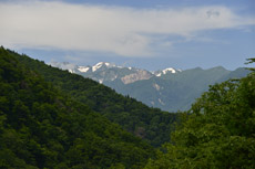 ���R���߂��Ȃ�