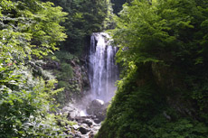 �V���̒���