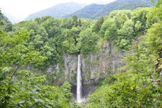 �����̑�