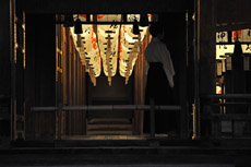 �{�a�߂���