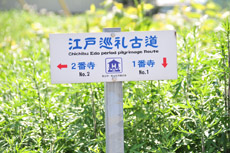 ��ɍ]�ˏ���Ó������