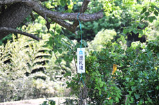 ������ƃz�b�Ƃ���