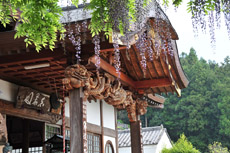 ��⎛�@���Ɨ�