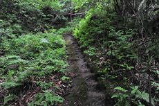 ��ɍ��񂾊K�i