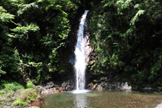 �����،��̑�