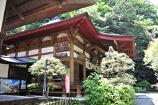 ���莛�@������