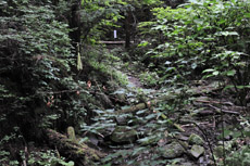 ���瓹�̎D�͂��邪�A�A