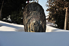 �n���ω��@�x�R�s�@������