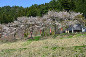 ���q���@���Z�����]