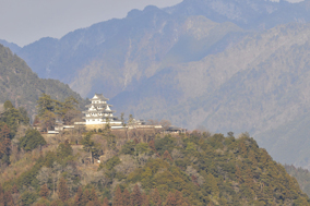 �S��C���^�[�߂��A����