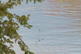 �����ĎB��Ȃ��A���ꂪ�����