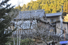 ���R�@�O����