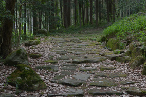 ���R���@���i���̐Ώ�