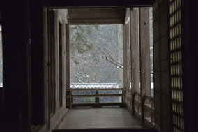 �{������ω�����