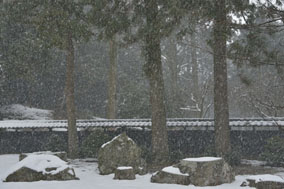 �ω�������Β�