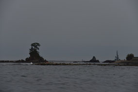 ����ŗ��R��������