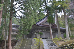 ���ʎ��@806�N�n��