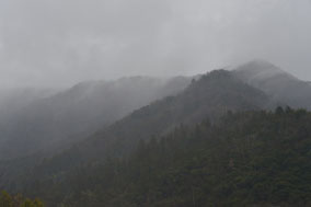 ���ʎ��������