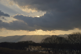 �{�V�R���@�@��O�͗K���