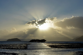 ���͒|����